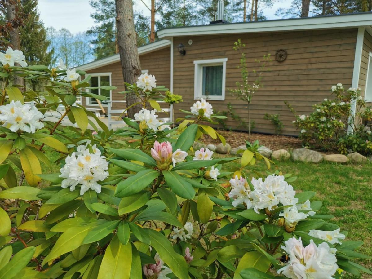 Sosnowy Azyl Villa Wąglikowice Kültér fotó