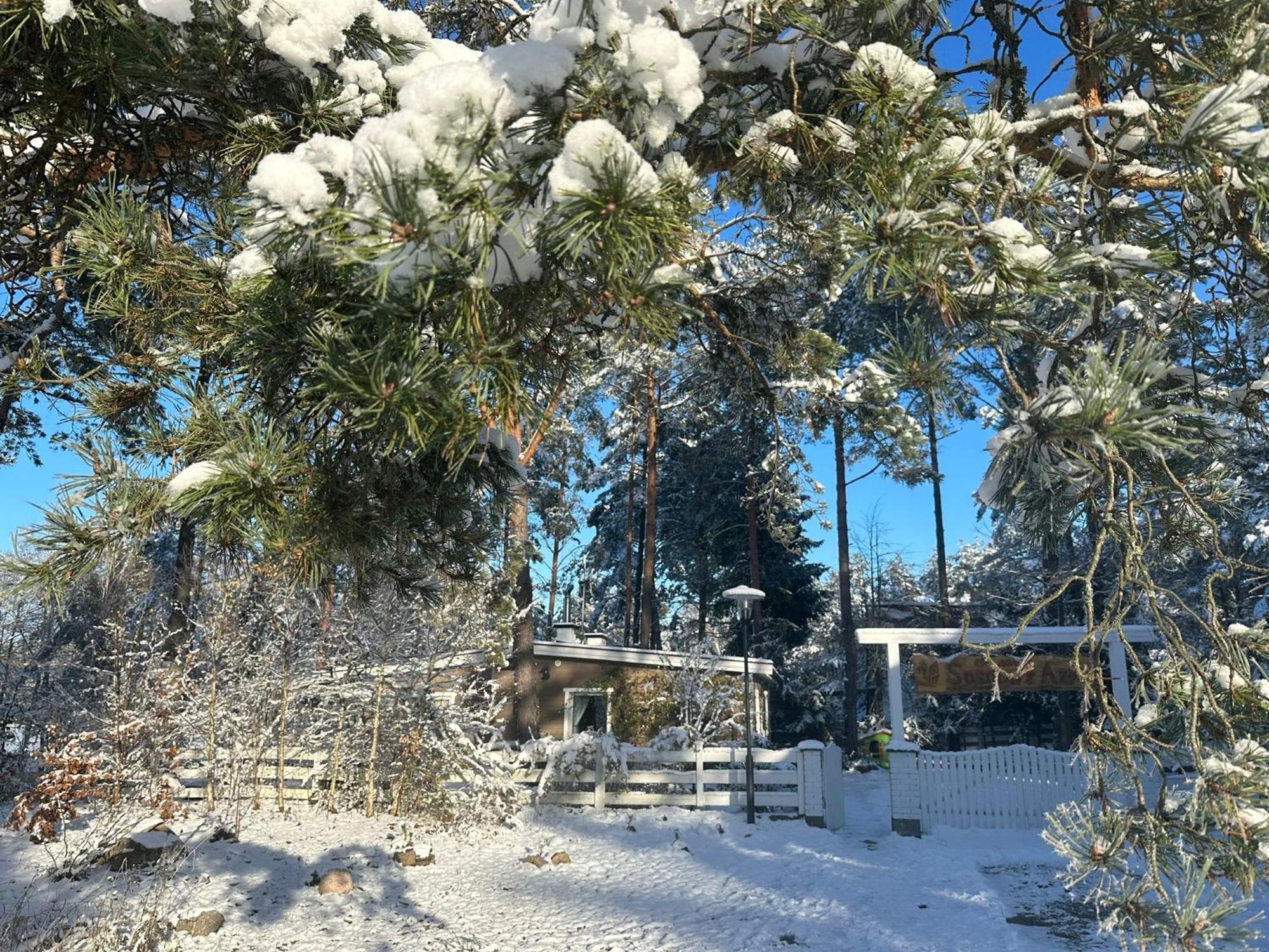 Sosnowy Azyl Villa Wąglikowice Kültér fotó